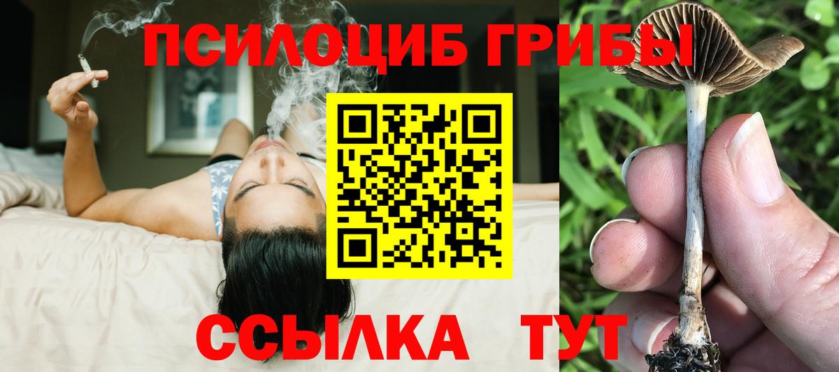 Десногорск  Псилоцибиновые грибы Psilocybine cubensis  Вход с VPN 