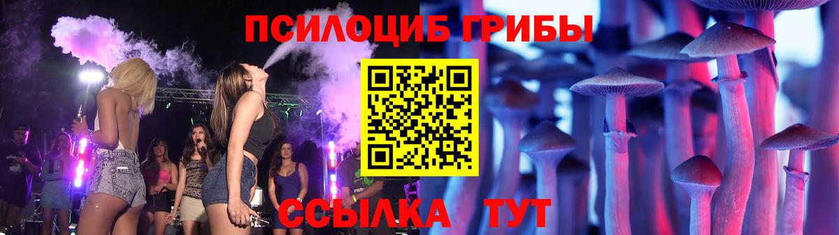 Галлюциногенные грибы Cubensis Десногорск